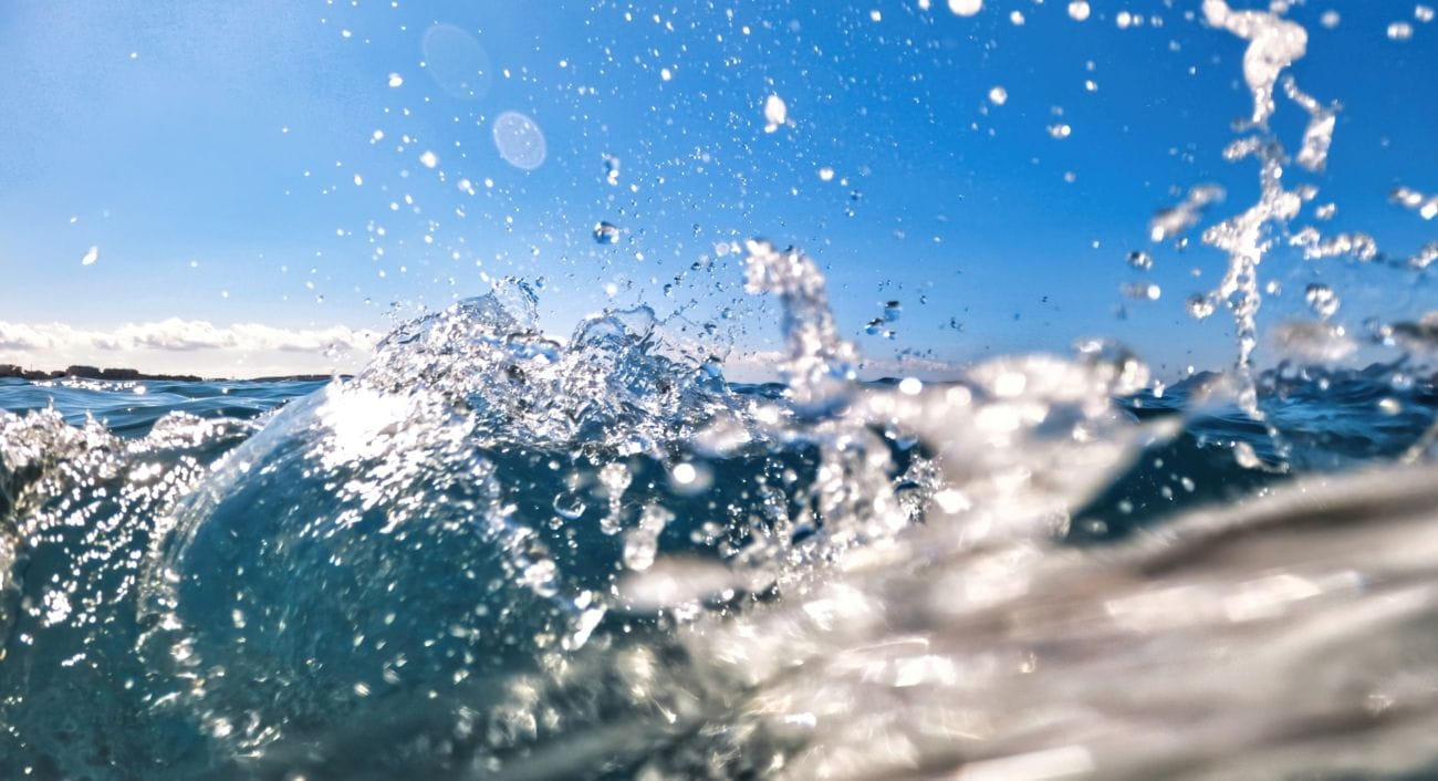 Une Bouffée d’Air Marin (et de Bonheur !) avec Sea You Sun